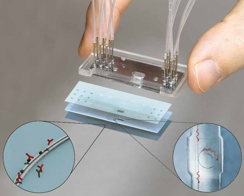 Lab-on-chip system for label-free diagnostics